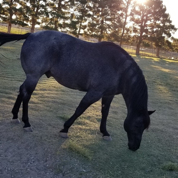 barnbabemd